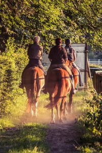 reiter-1566823_960_720