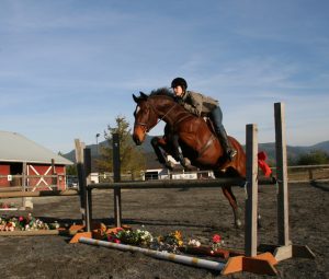 A Hunter, Practicing Going Over Fences, On A Cold, Bright Winter Day.