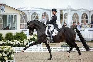 Hagen, Germany - July 9, 2015: Jessica von Bredow-Werndl of Germany and her stallion Unee during the CDIO5* - FEI Grand Prix competition at the CDIO on July 9, 2015 in Hagen, Germany. Here in extended trot. Reached 3rd place.